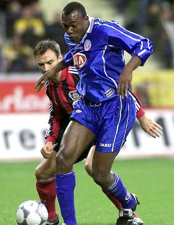 它們不僅看 它們不僅看